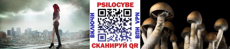 Псилоцибиновые грибы Cubensis  Черняховск 